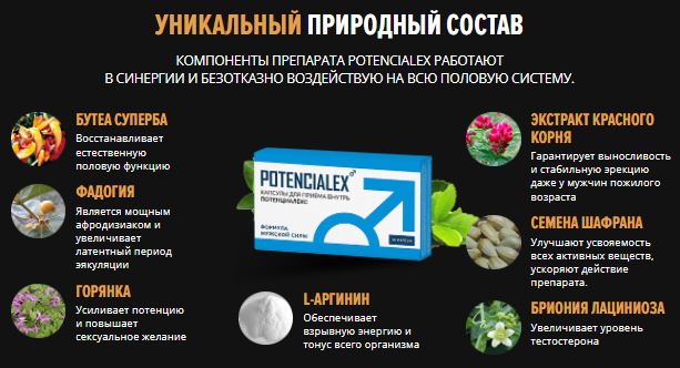 Женьшень настойка для повышения потенции у мужчин