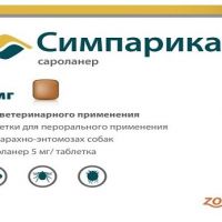 Тадалафил - Википедия