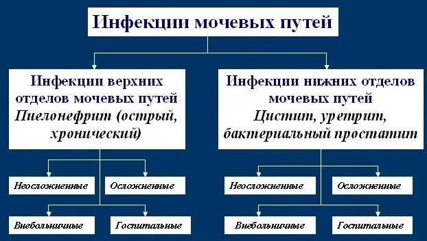 Полный обзор на таблетки для повышения потенции без.