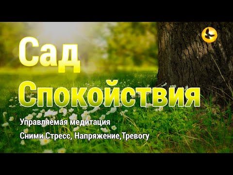 ТОП-10 Лучших Таблеток для Потенции мужчин — Отзывы